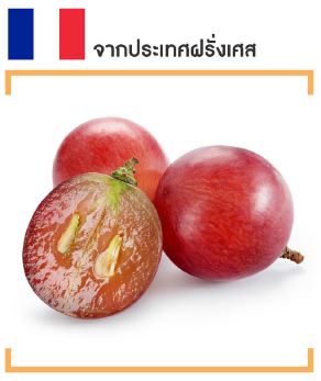 น้ำมันเมล็ดองุ่น SCANDIA Oil
